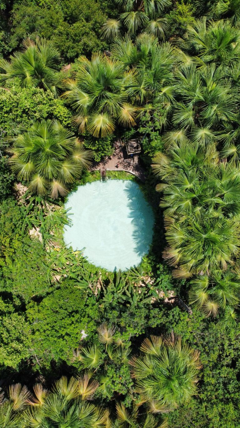 Jalapão 4x4 Pacotes de viagem e expedições 4x4 pelo Jalapão com conforto e aventura.