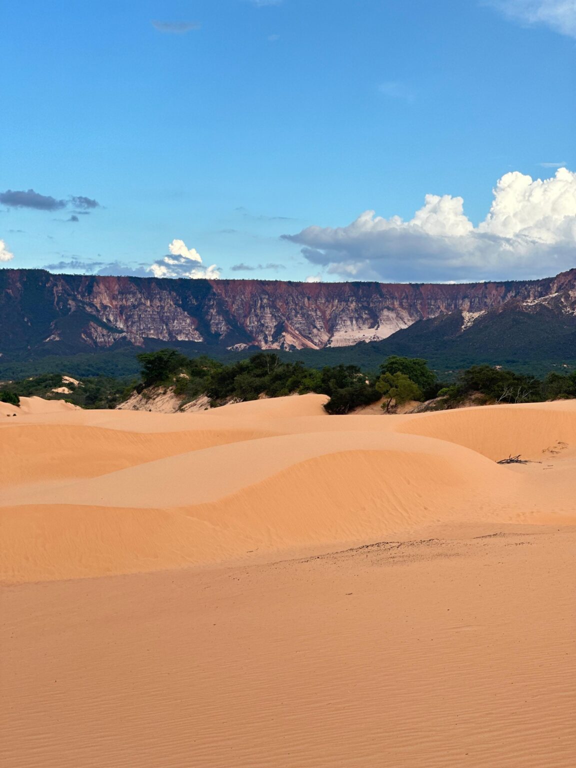 Jalapão 4x4 Pacotes de viagem e expedições 4x4 pelo Jalapão com conforto e aventura.