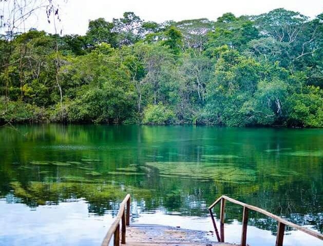 Jalapão 4x4 Pacotes de viagem e expedições 4x4 pelo Jalapão com conforto e aventura.