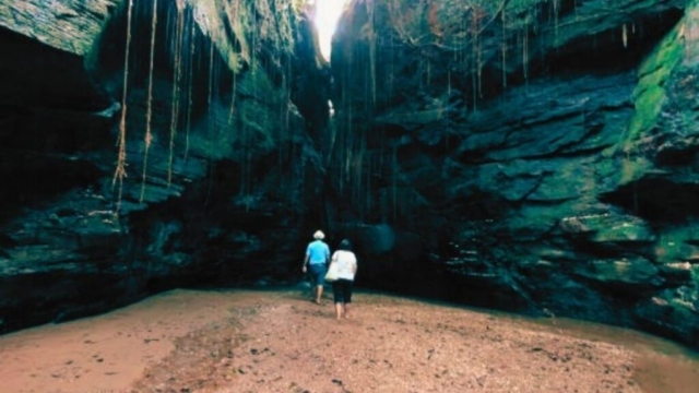 Jalapão 4x4 Pacotes de viagem e expedições 4x4 pelo Jalapão com conforto e aventura.