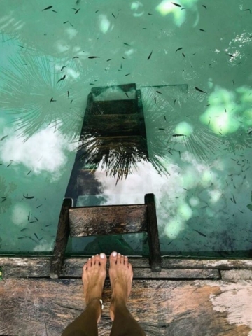 Jalapão 4x4 Pacotes de viagem e expedições 4x4 pelo Jalapão com conforto e aventura.