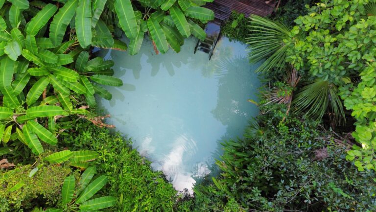 Jalapão 4x4 Pacotes de viagem e expedições 4x4 pelo Jalapão com conforto e aventura.