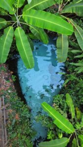 Jalapão 4x4 Pacotes de viagem e expedições 4x4 pelo Jalapão com conforto e aventura.