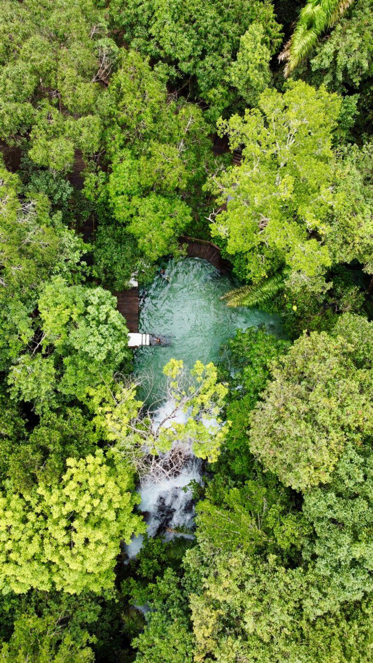 Jalapão 4x4 Pacotes de viagem e expedições 4x4 pelo Jalapão com conforto e aventura.
