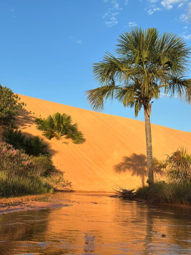 Jalapão 4x4 Pacotes de viagem e expedições 4x4 pelo Jalapão com conforto e aventura.