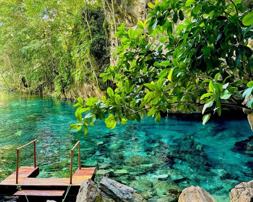 WhatsApp Image 2025-11-07 at 19.21.25