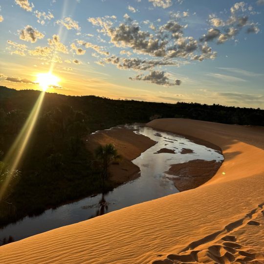 WhatsApp Image 2025-11-20 at 15.50.25 (1)