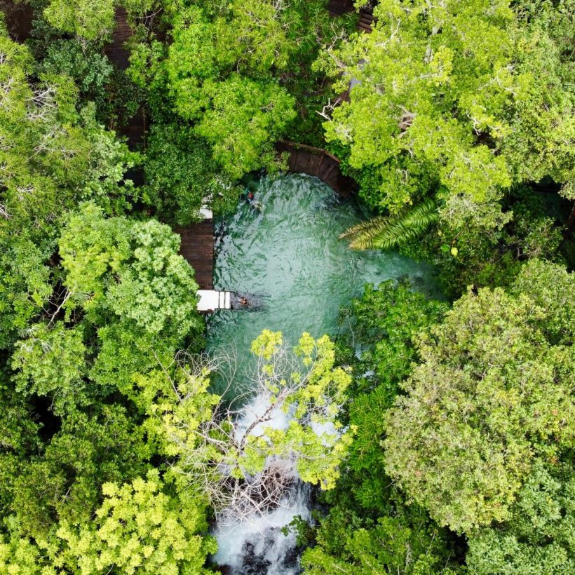 WhatsApp Image 2025-11-20 at 15.50.27 (2)