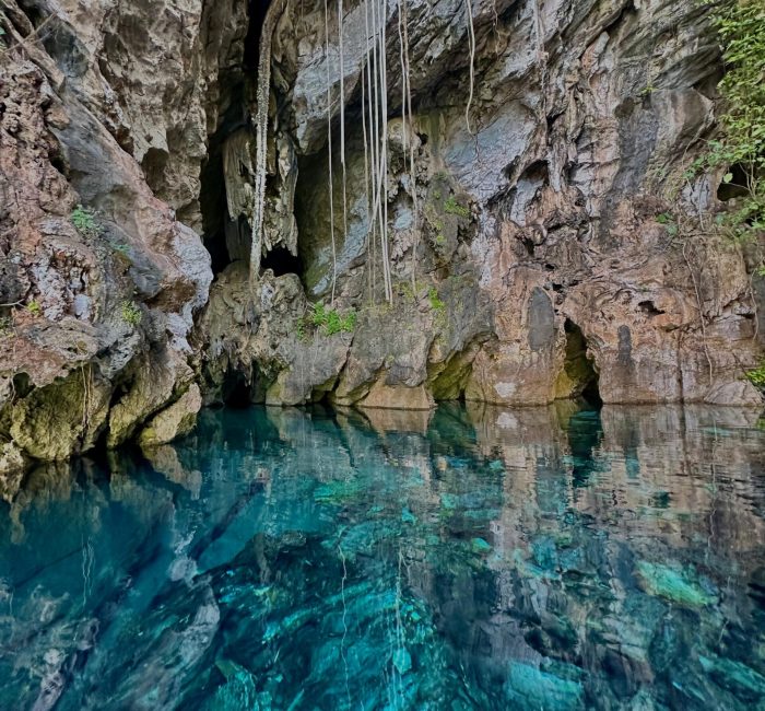 WhatsApp Image 2025-11-20 at 15.50.28